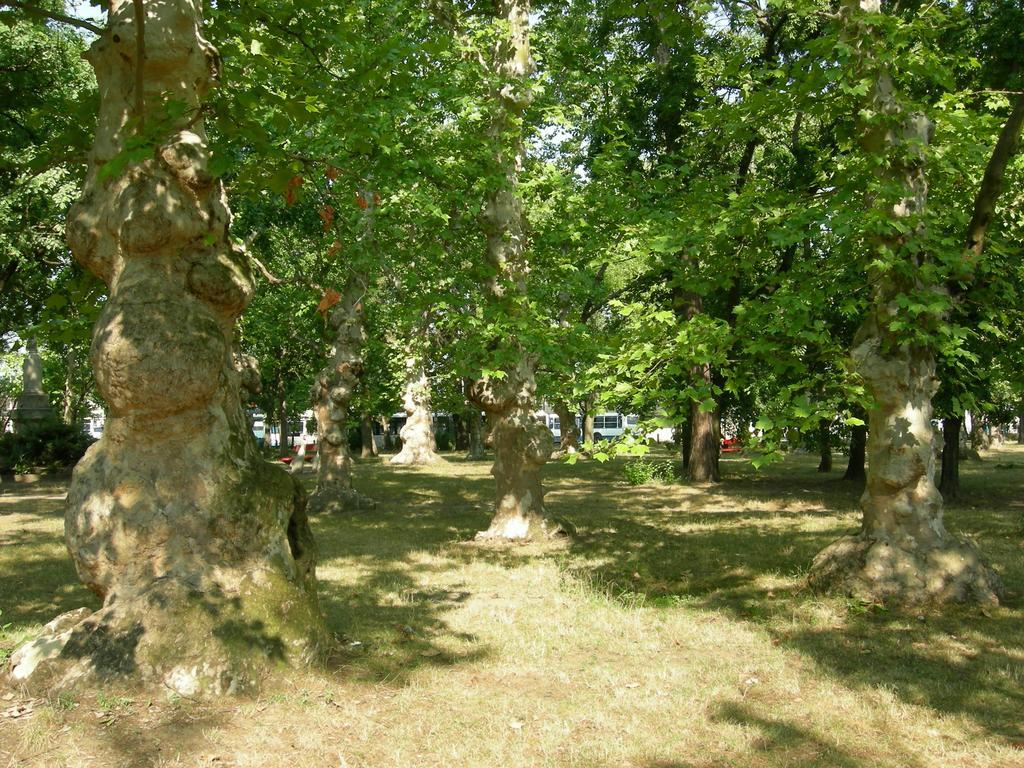 Hary Hotel Keşkemet Dış mekan fotoğraf